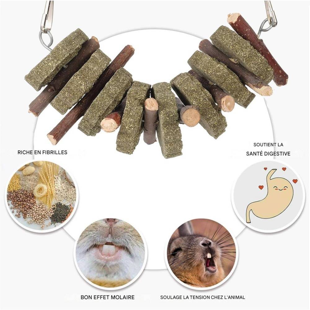 Jouets à mâcher pour lapins, hamsters, chinchillas, cobayes DtopbuyAge - Image 3