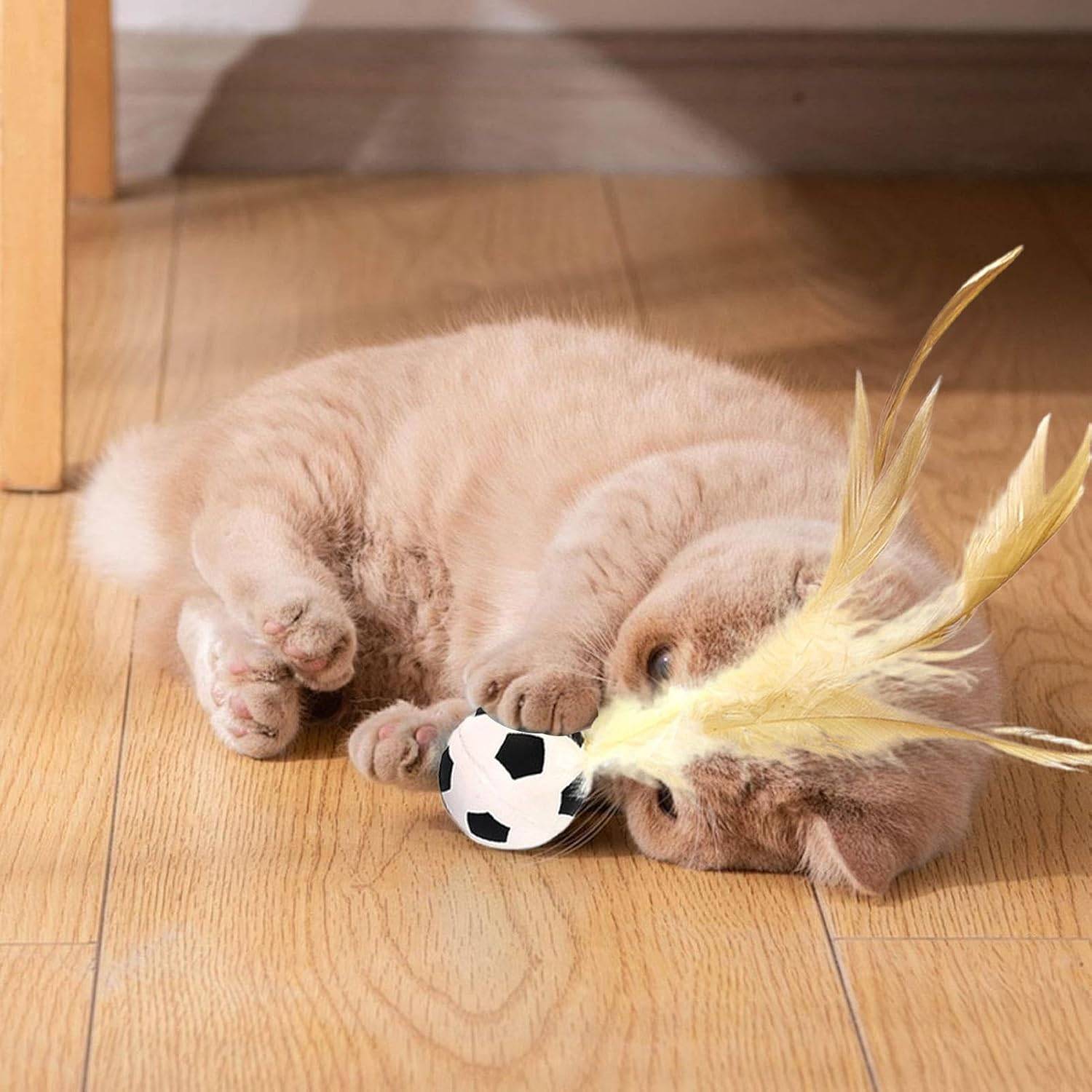 Balle rebondissante pour chat DtopbuyAge - Image 4