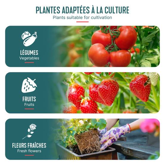 Serre de jardin Serre tomates avec grande porte enroulable bache PE renforcee 135g/m2 100x50x150cm Blanc - Image 7