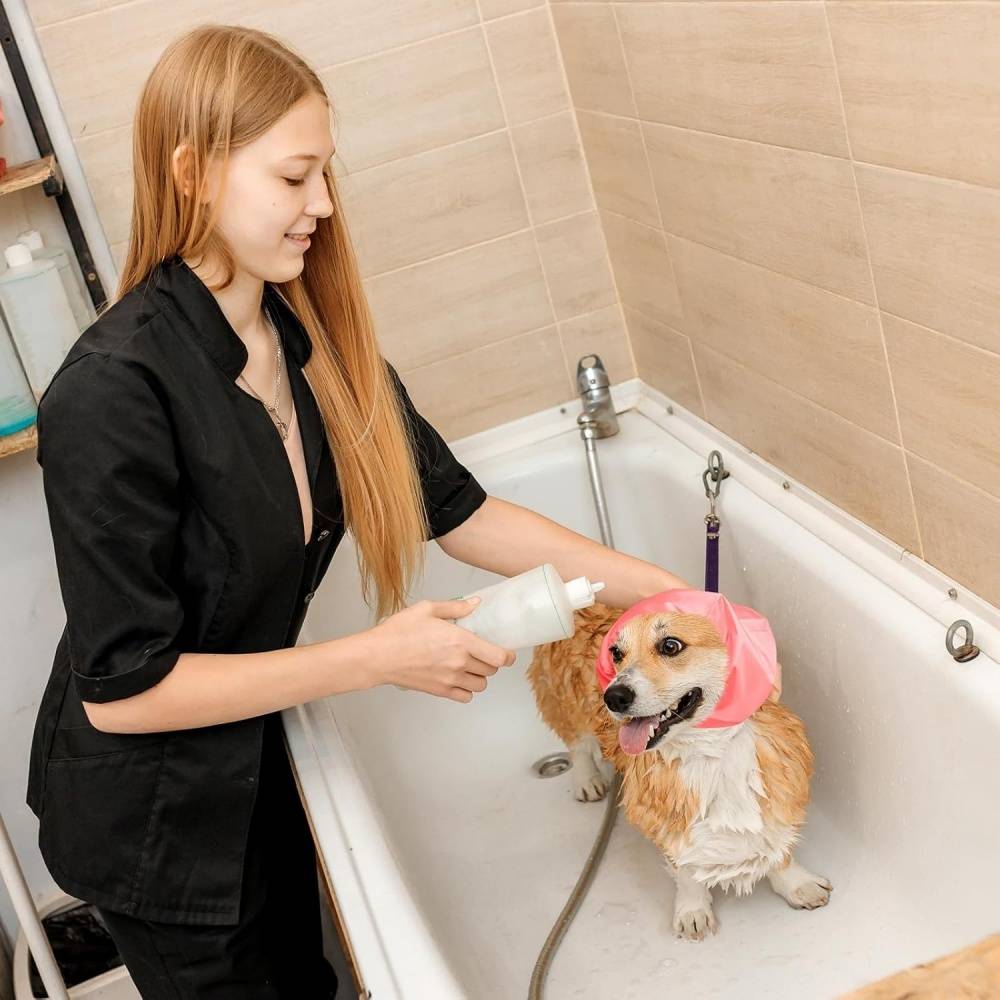 DtopbuyAge - Lot de 3 bonnets de bain pour chien DtopbuyAge - Image 4