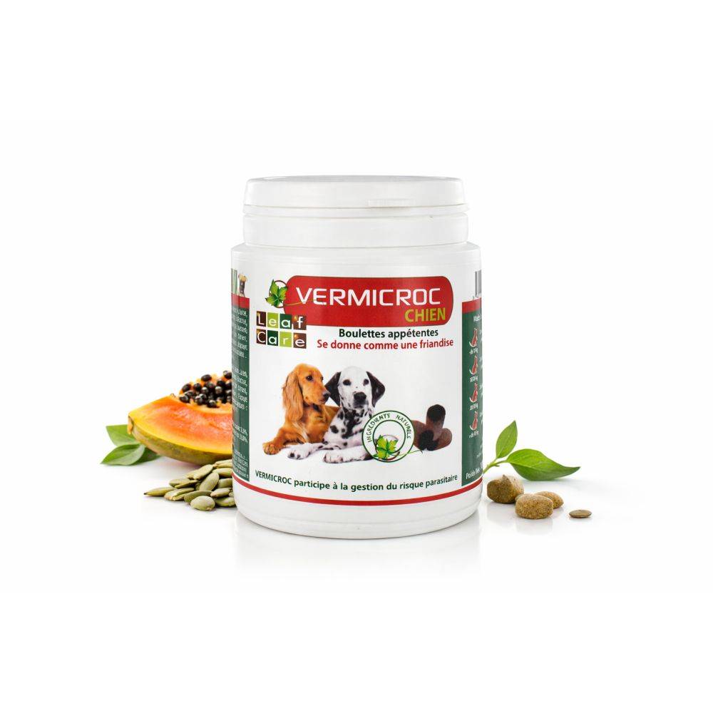 Vermicroc Chien Boulettes 100 g - Complément Parasitaire Naturel 100 g