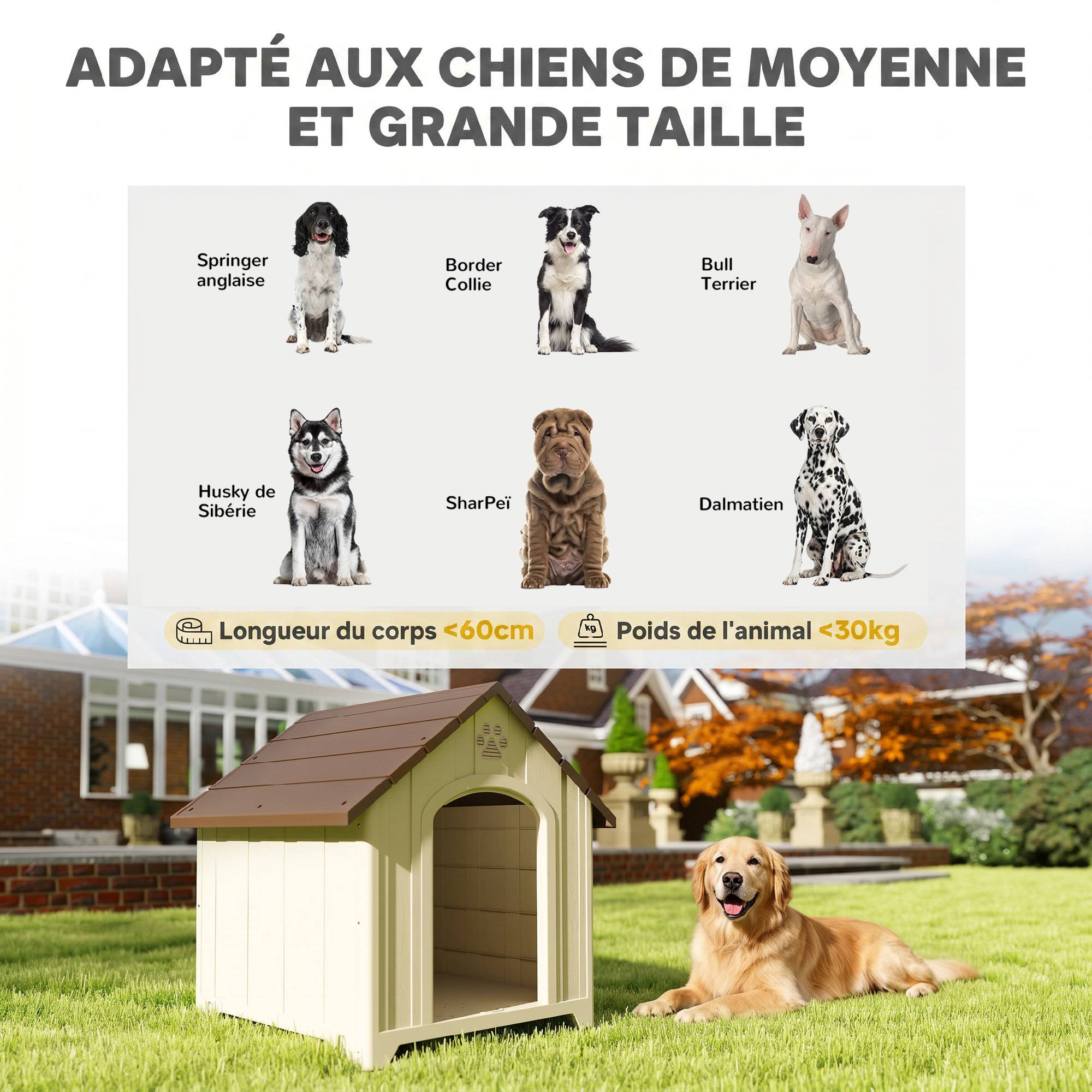 Niche extérieure pour chien polypropylène étanche, ventilée, plancher surélevé, beige - Image 7