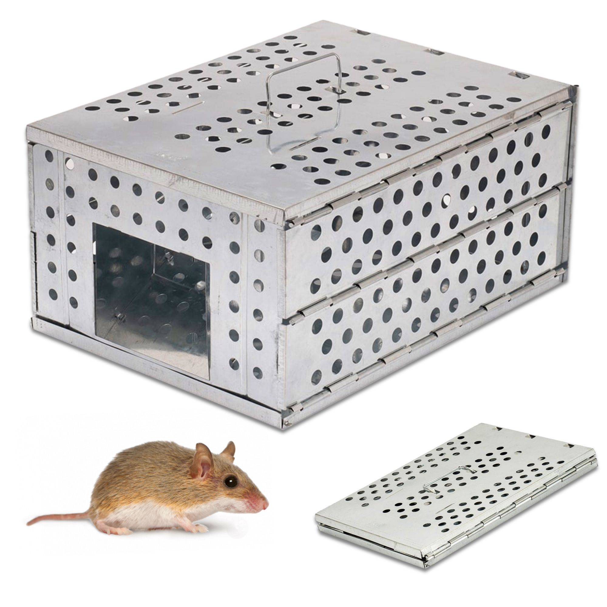 Piège à Rongeurs Rats et Souris - Pliable en Acier Galvanisé 30x22x15 cm - Sans Blessure - Réutilisable, Naturelle et Efficace - Image 1
