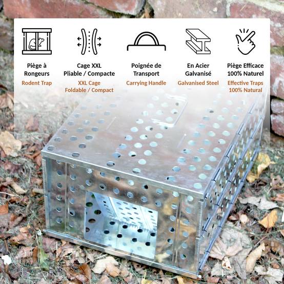 Piège à Rongeurs Rats et Souris - Pliable en Acier Galvanisé 30x22x15 cm - Sans Blessure - Réutilisable, Naturelle et Efficace - Image 3