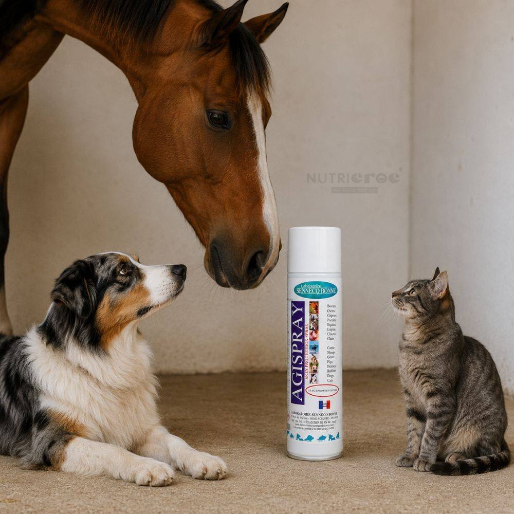 AGISPRAY Spray Protecteur pour Plaies Superficielles 500 ml 500 - Image 2