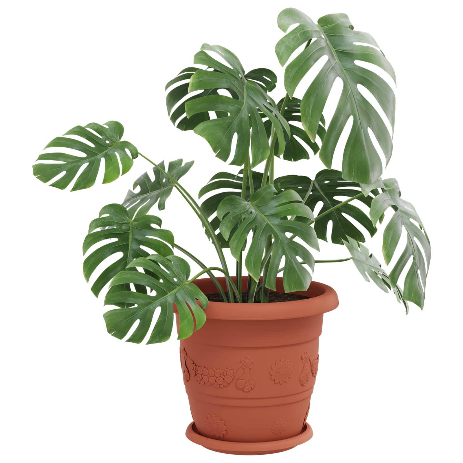 Pots de plantes 24 pcs | Bac à fleurs Rouge brique Ø 26 x 21.5 cm Plastique - Image 3