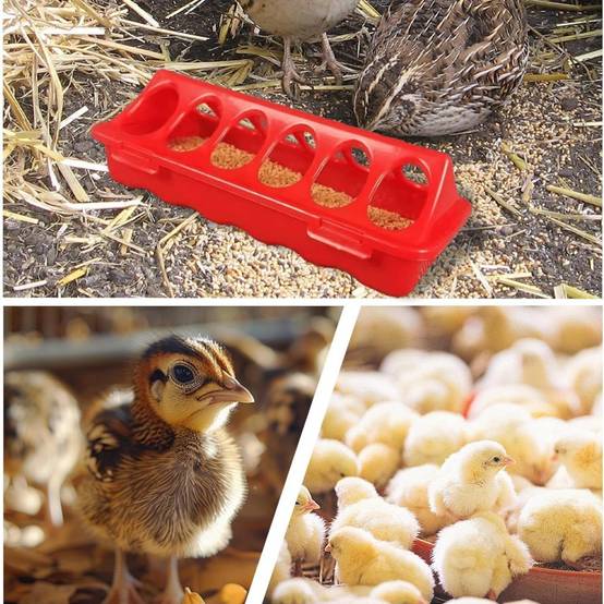 IntiMeg - Mangeoire pour animaux de ferme IntiMeg - Image 3