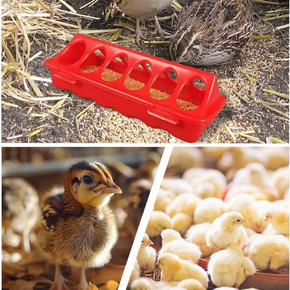 IntiMeg - Mangeoire pour animaux de ferme IntiMeg - Image 3