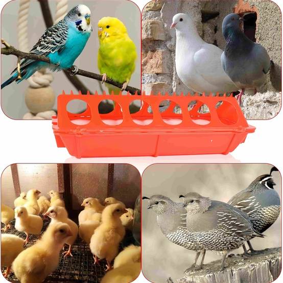 IntiMeg - Mangeoire pour animaux de ferme IntiMeg - Image 2