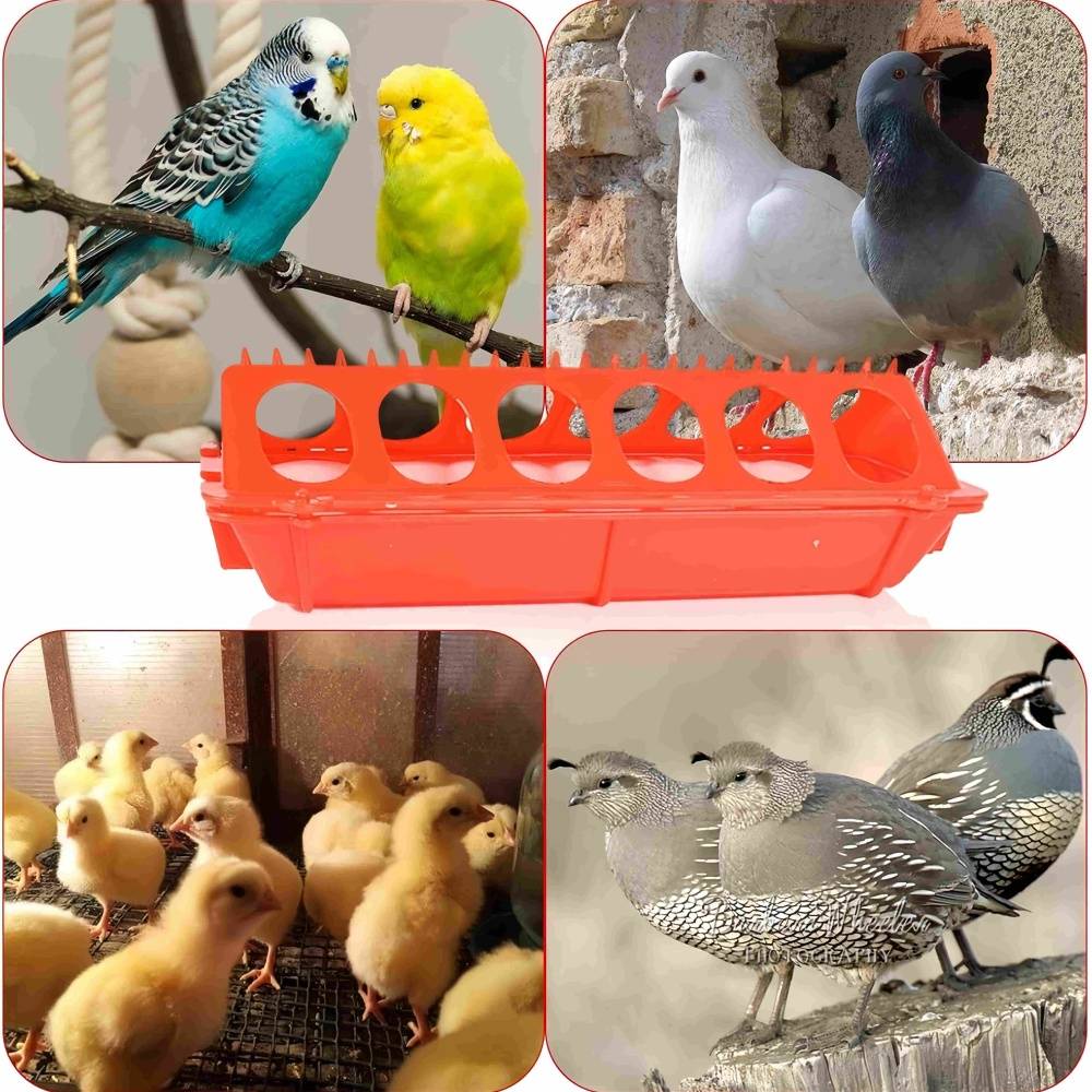 IntiMeg - Mangeoire pour animaux de ferme IntiMeg - Image 2