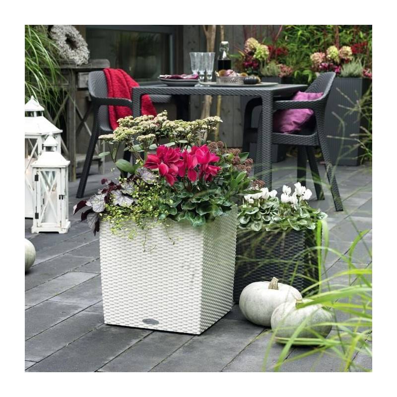 Lechuza - Pot De Fleur Lechuza Cube Cottage 50 - Kit Complet, Blanc - Plastique - 14 L - 49 X 49 X 49,5 Cm - Image 5