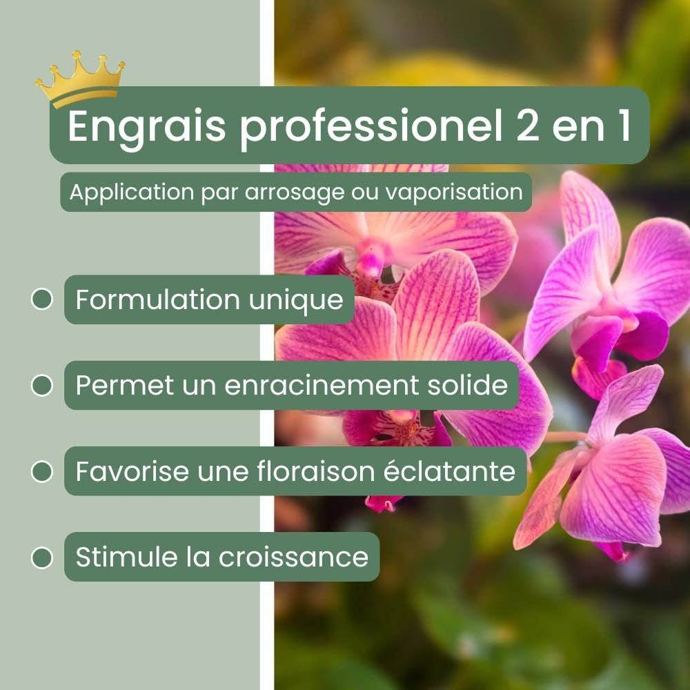 Duo - Terreau Orchidée Premium 4L + Engrais liquide spécial Orchidée 250ml + Pipette graduée offerte - Image 3