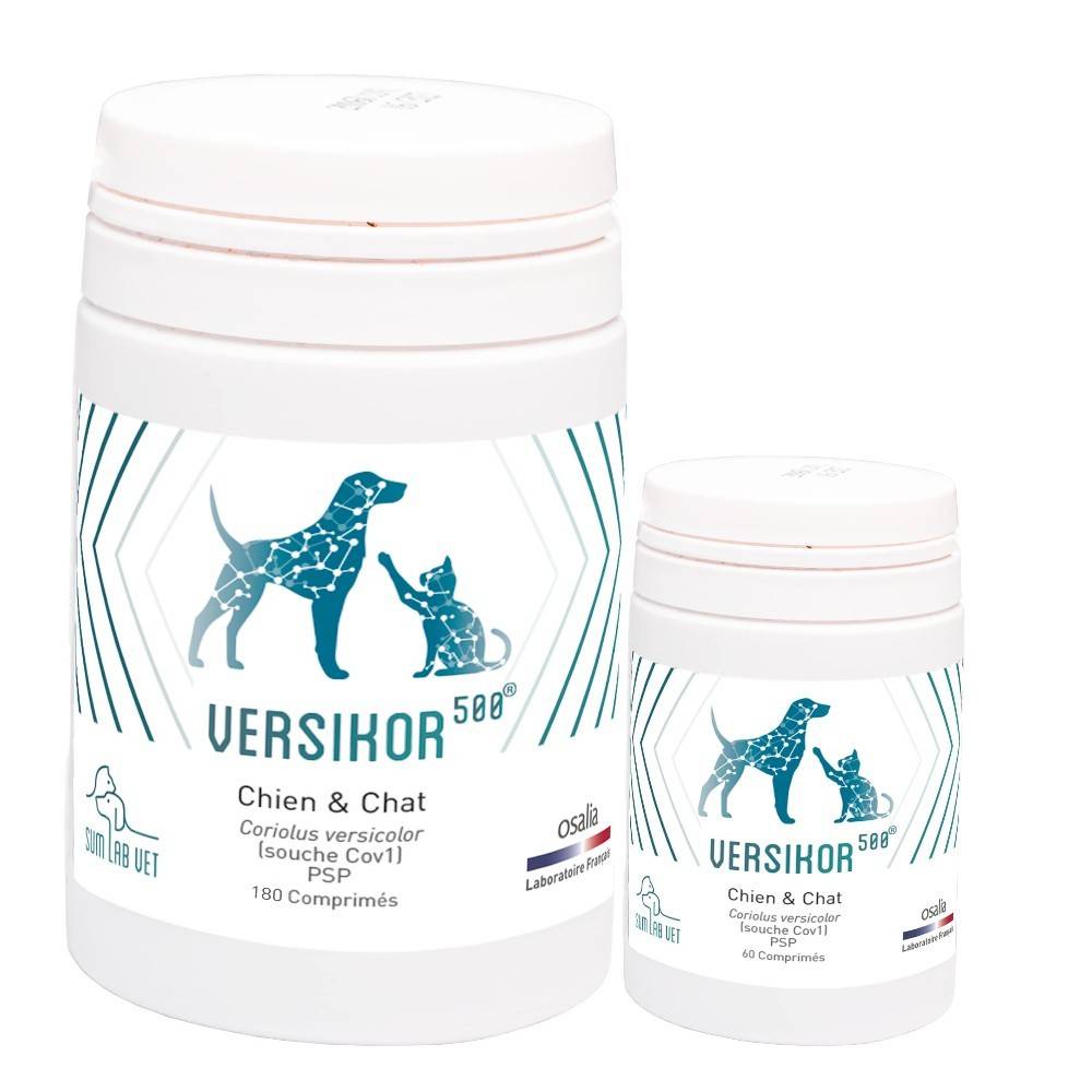 VERSIKOR - OSALIA 180 comprimés - Image 2