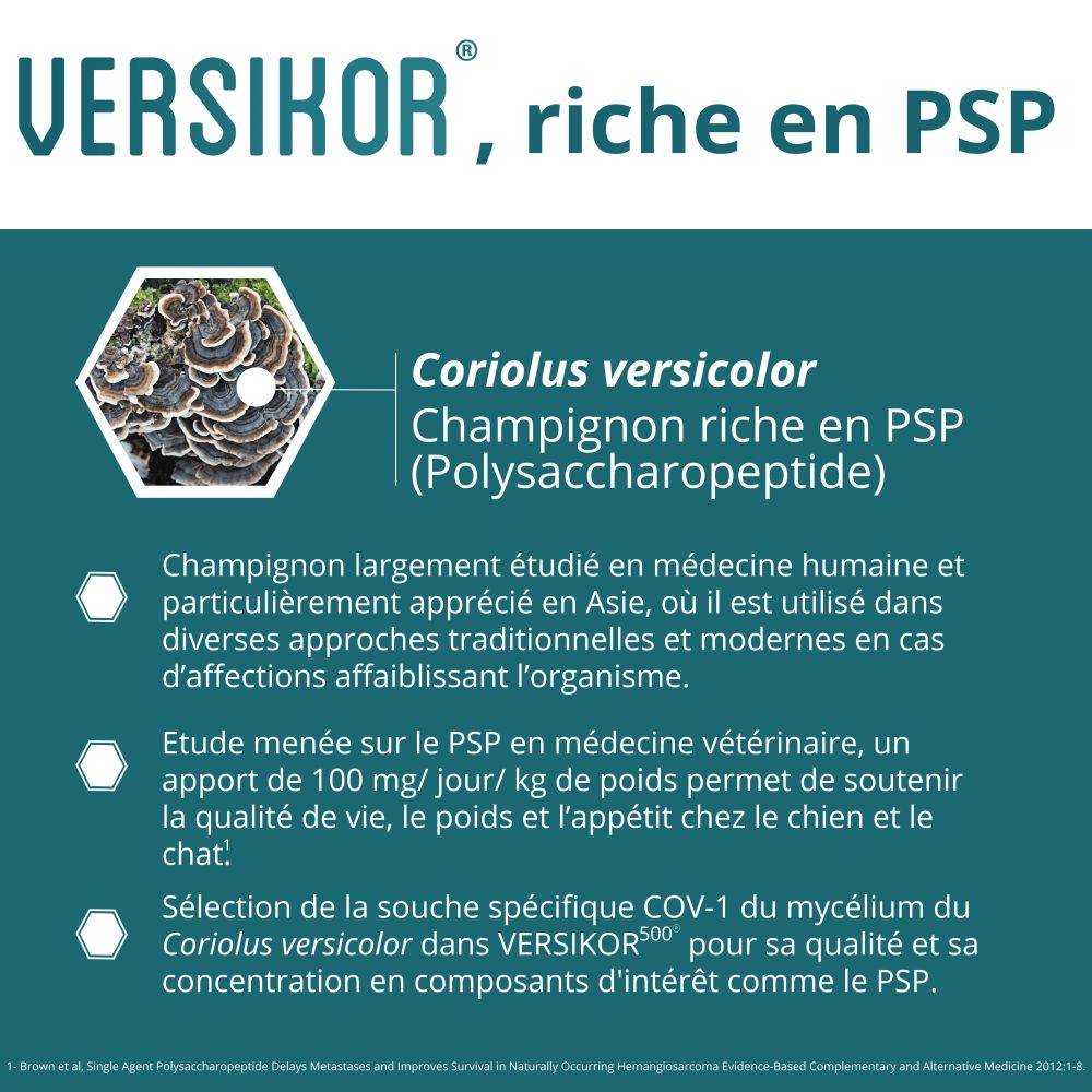 VERSIKOR - OSALIA 180 comprimés - Image 4