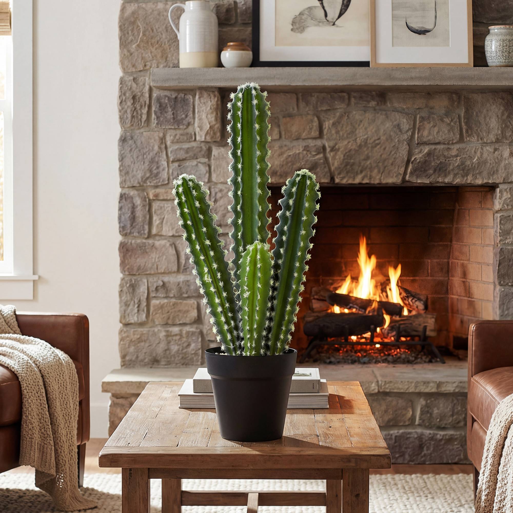 Sans Marque - Cactus artificiel, 53 cm, plante artificielle en pot pour la maison ou le bureau - Image 4