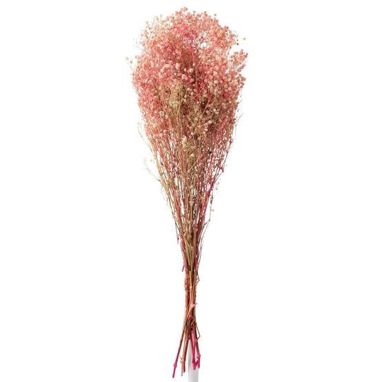 Bouquet de Fleurs "Gypsophile Séché" 84cm Rose - Image 1