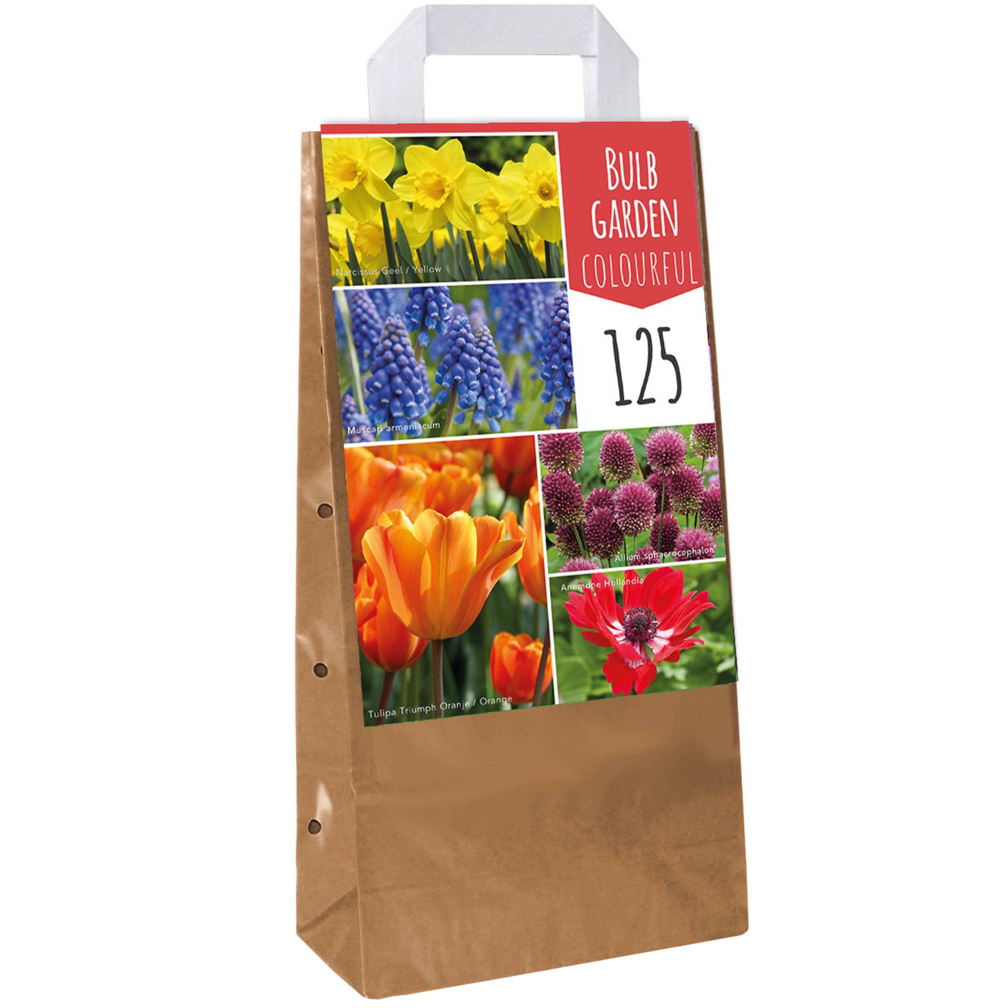 Gardenersdream - Jardin de bulbes Mélange coloré de tulipes, anémones, alliums, muscari et narcisses (125 bulbes) - Image 1