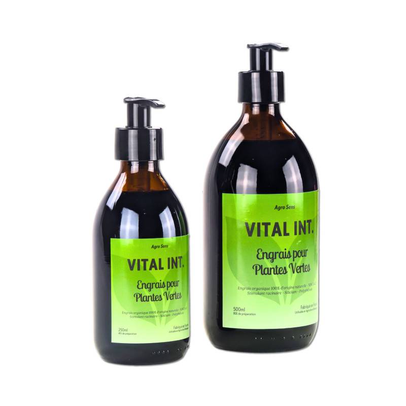 Vital Int. Plantes Vertes - Engrais pour plantes vertes d'intérieur - 500 ml - Image 4