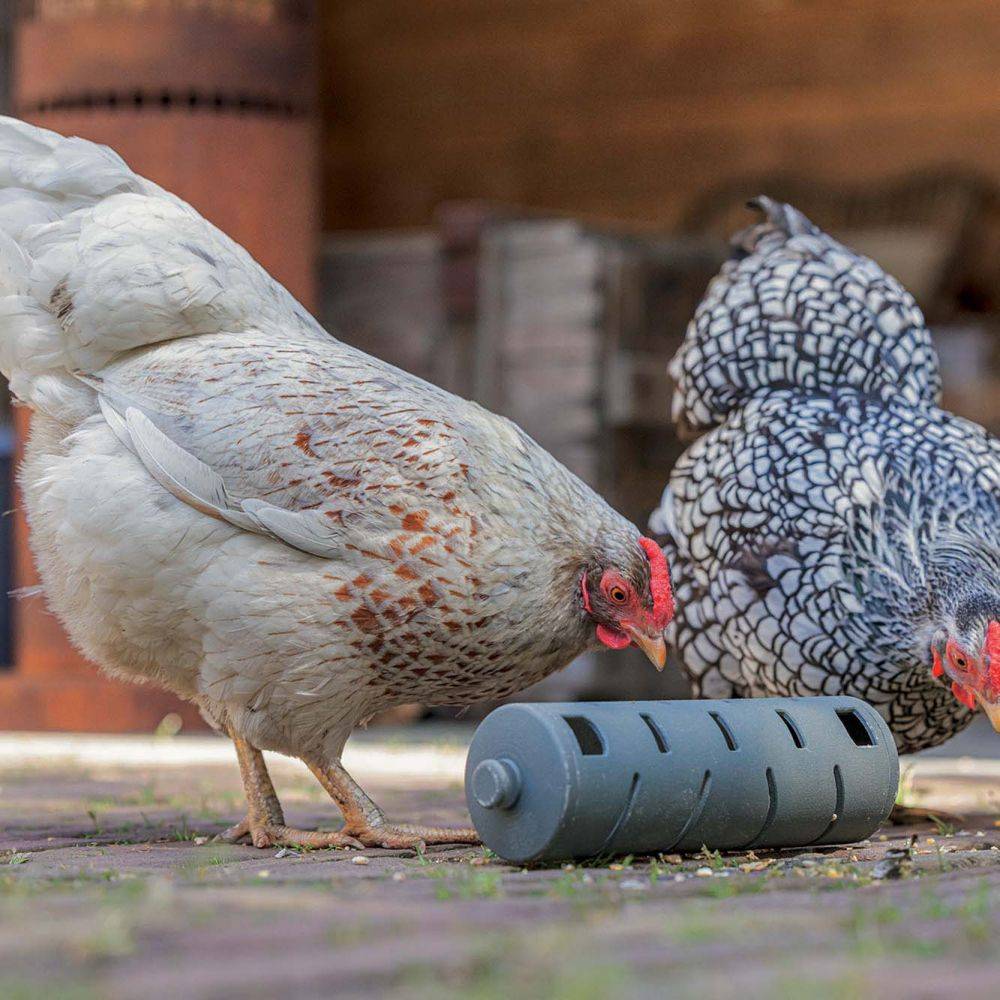 Greenlife By Biom Paris - Distributeur roulant à friandises  en plastique recyclé pour poules - Image 2
