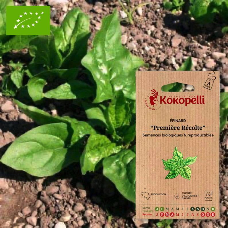 Association Kokopelli - Épinard Première Récolte- Graines bio à semer - Image 1