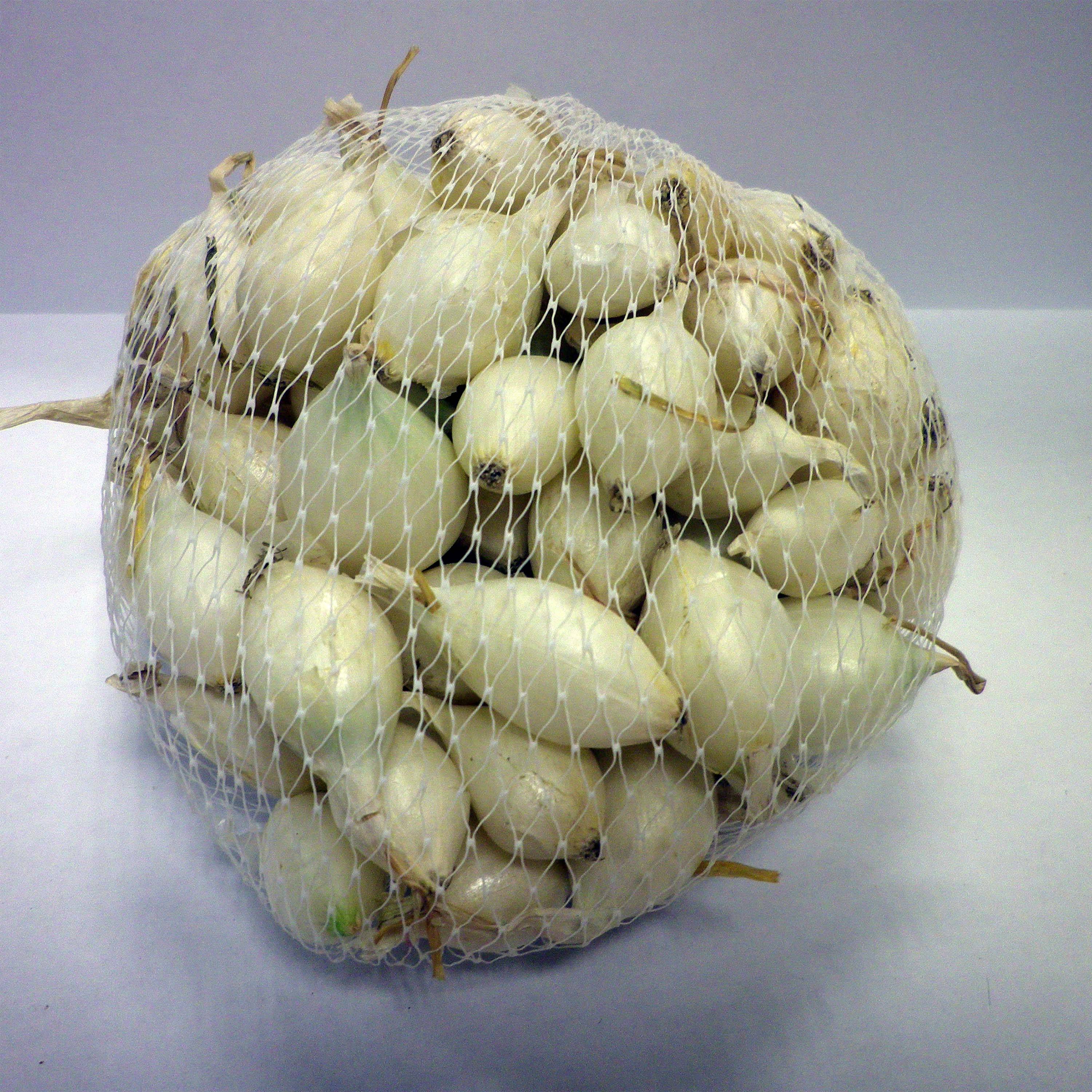 Oignon blanc - White Globle - en plants (plantation automne) Pièce calibre 14/21 mm, Sac de 250g