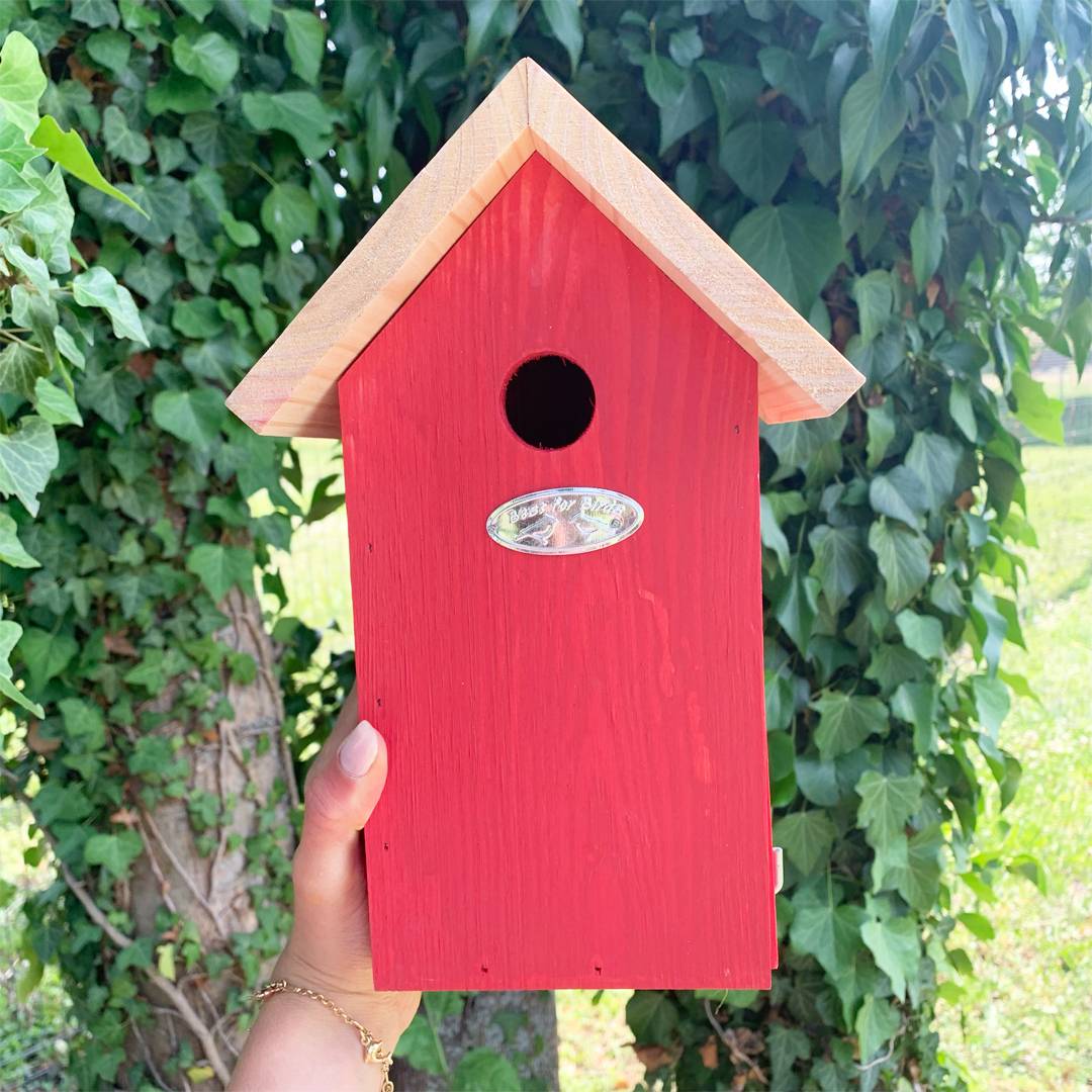 Esschert Design - Nichoir pour oiseaux - coloris aléatoire - ESSCHERTDESIGN - Image 9
