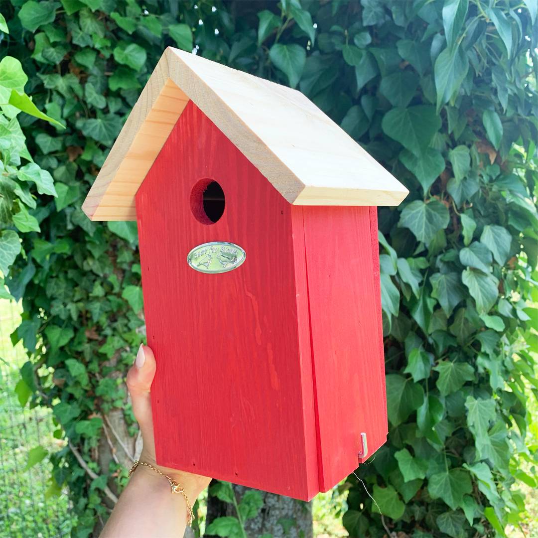 Esschert Design - Nichoir pour oiseaux - coloris aléatoire - ESSCHERTDESIGN - Image 8