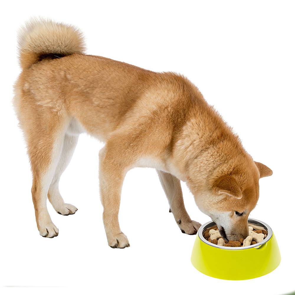 Ferplast - Ferplast Gamelle pour chien Gamelle pour chat Jolie - Gamelles pour eau et nourriture en acier inoxydable avec support en plastique, antidérapant, - Image 2