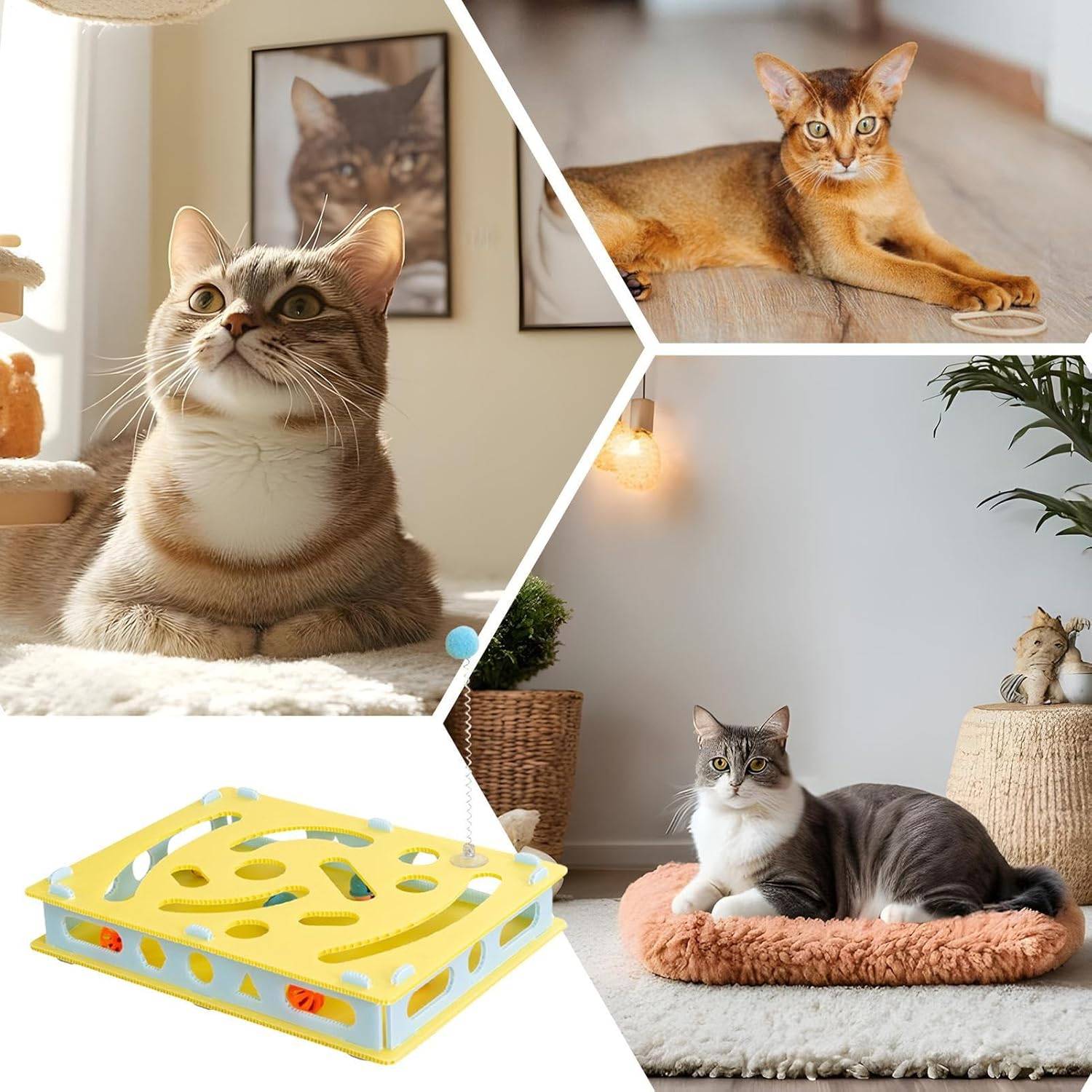 Labyrinthe interactif pour chat DtopbuyAge - Image 4