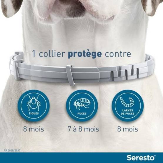 Seresto - SERESTO Chien Collier Anti-Puces et Anti-Tiques -8kg 1 unité - Image 2