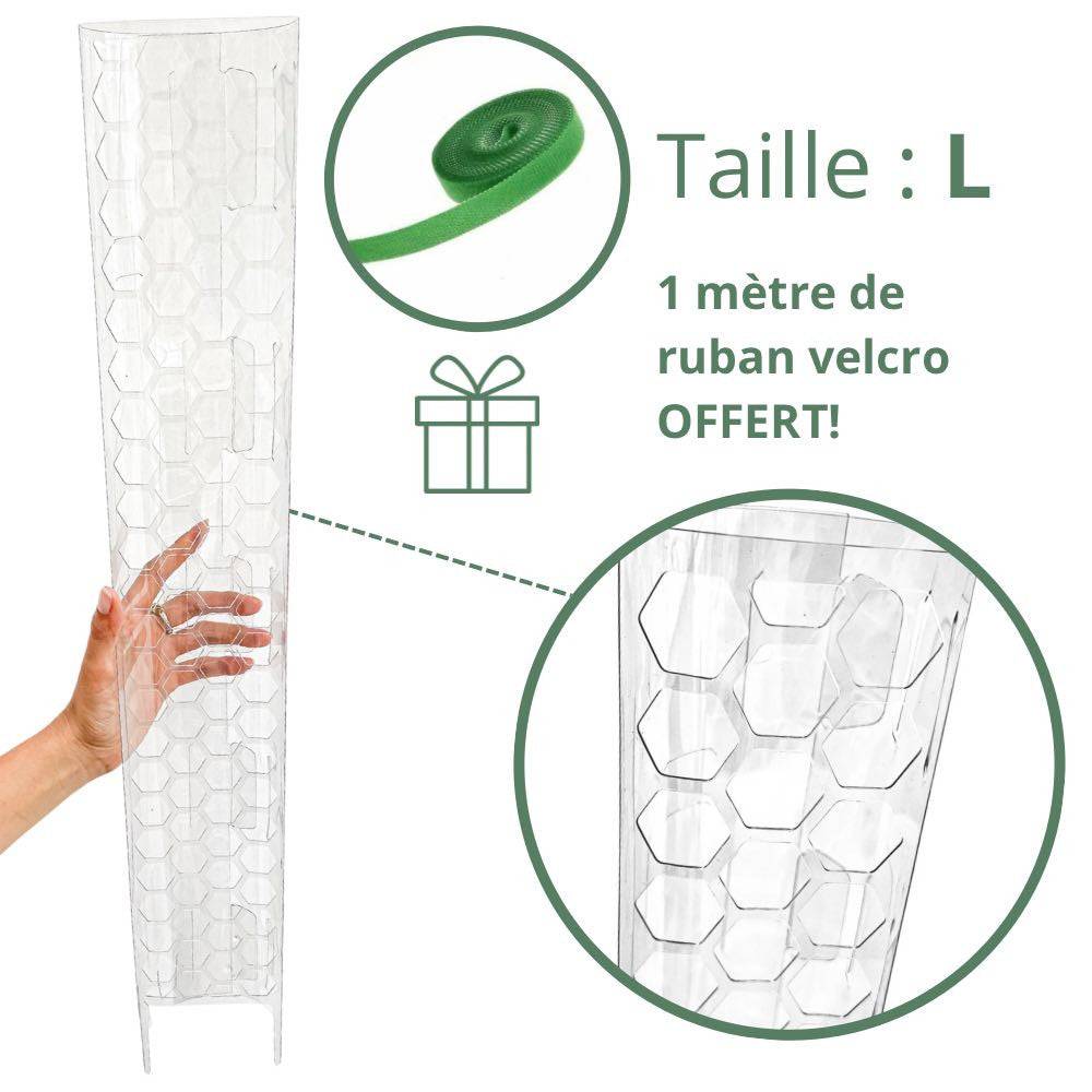 Tuteur pour plantes grimpantes transparent - Pack x3 + velcro offert - Taille S (Monstera, Pothos) - Image 8