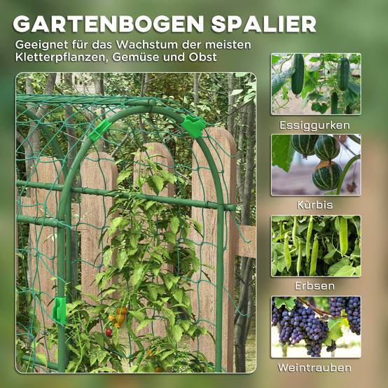 Spalier de Culture Acier pour Potager Support Plantes Grimpantes Vert 182x183cm - ComfortXL Outdoor Living - Image 4