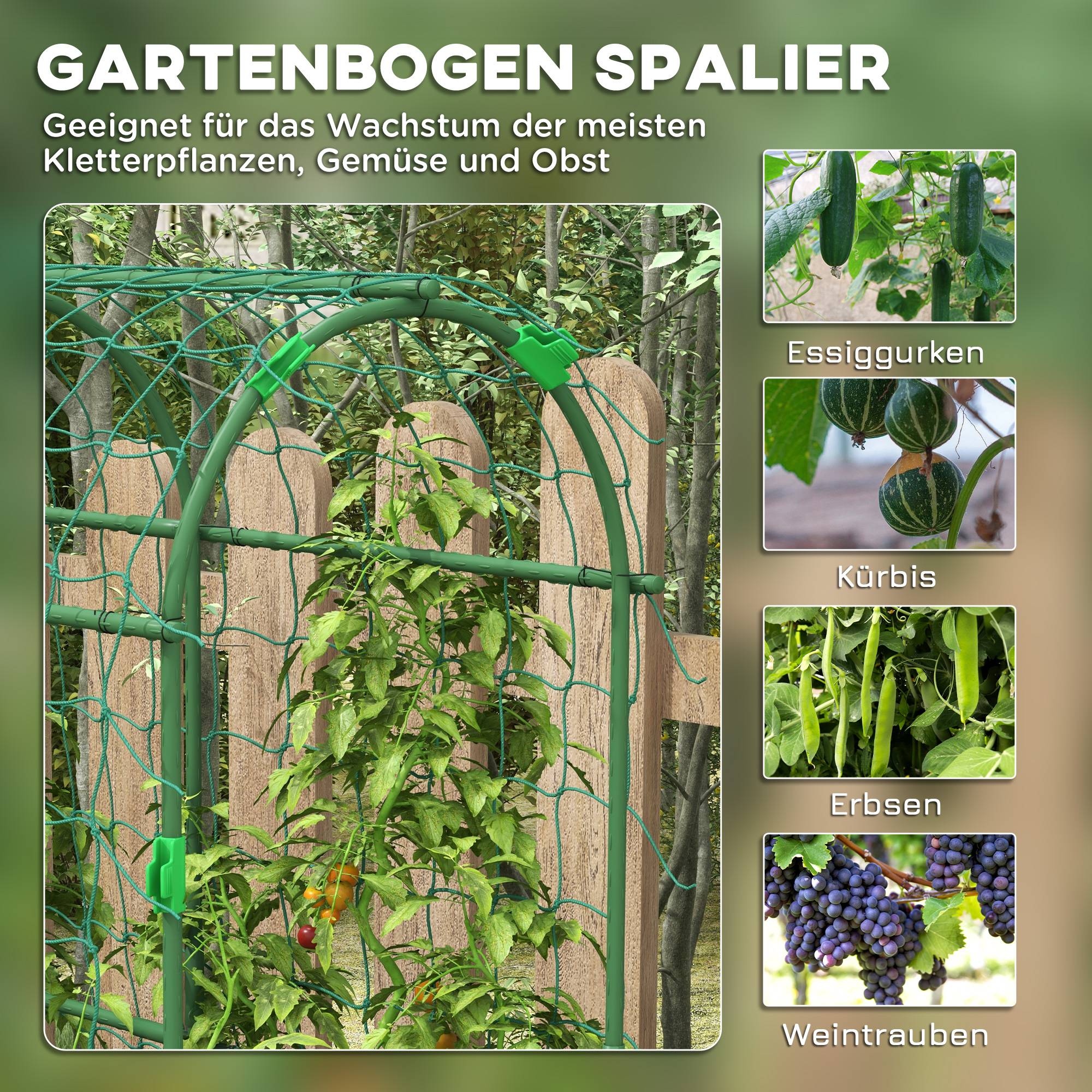 Spalier de Culture Acier pour Potager Support Plantes Grimpantes Vert 182x183cm - ComfortXL Outdoor Living - Image 4