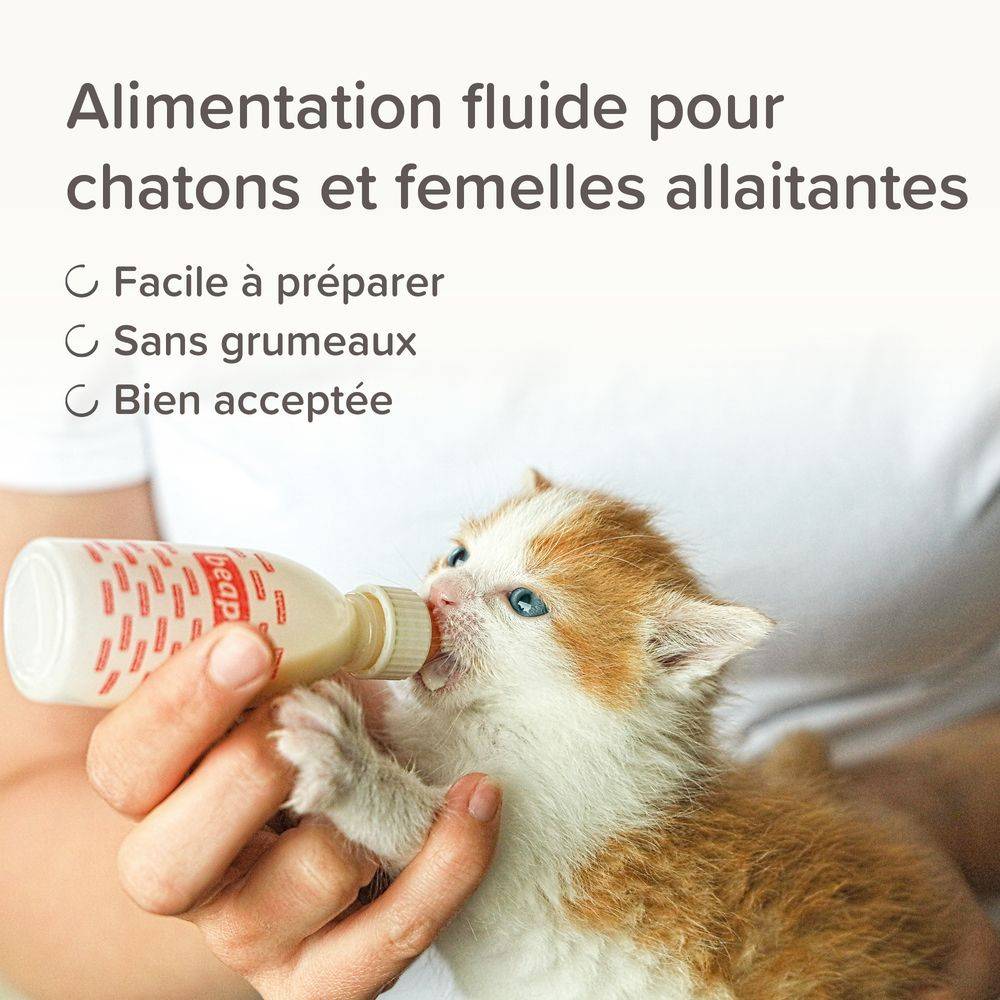 Lait maternisé pour chaton Poids : 250g BEAPHAR - Image 6