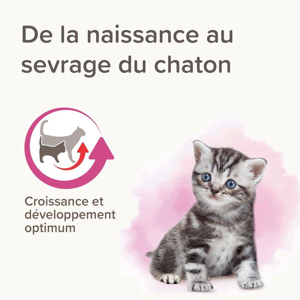 Lait maternisé pour chaton Poids : 250g BEAPHAR - Image 2