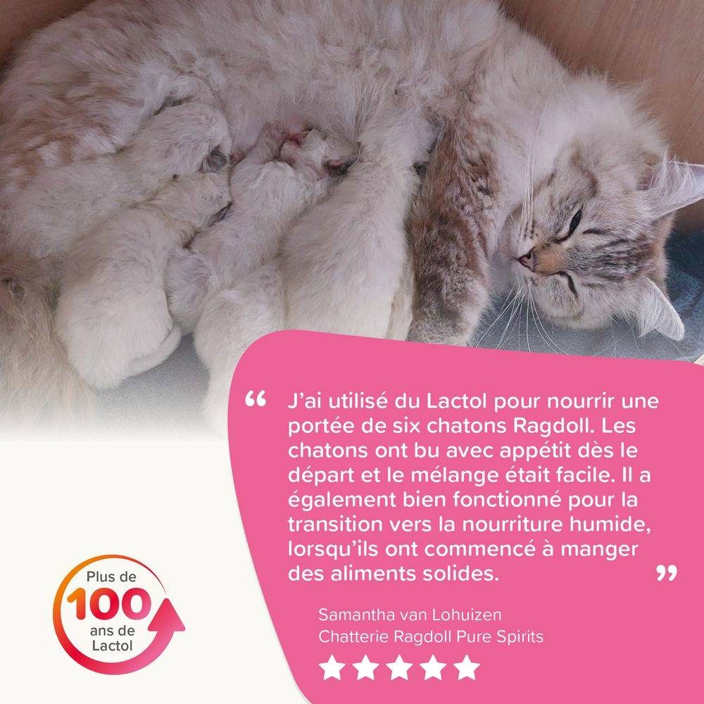 Lait maternisé pour chaton Poids : 250g BEAPHAR - Image 5