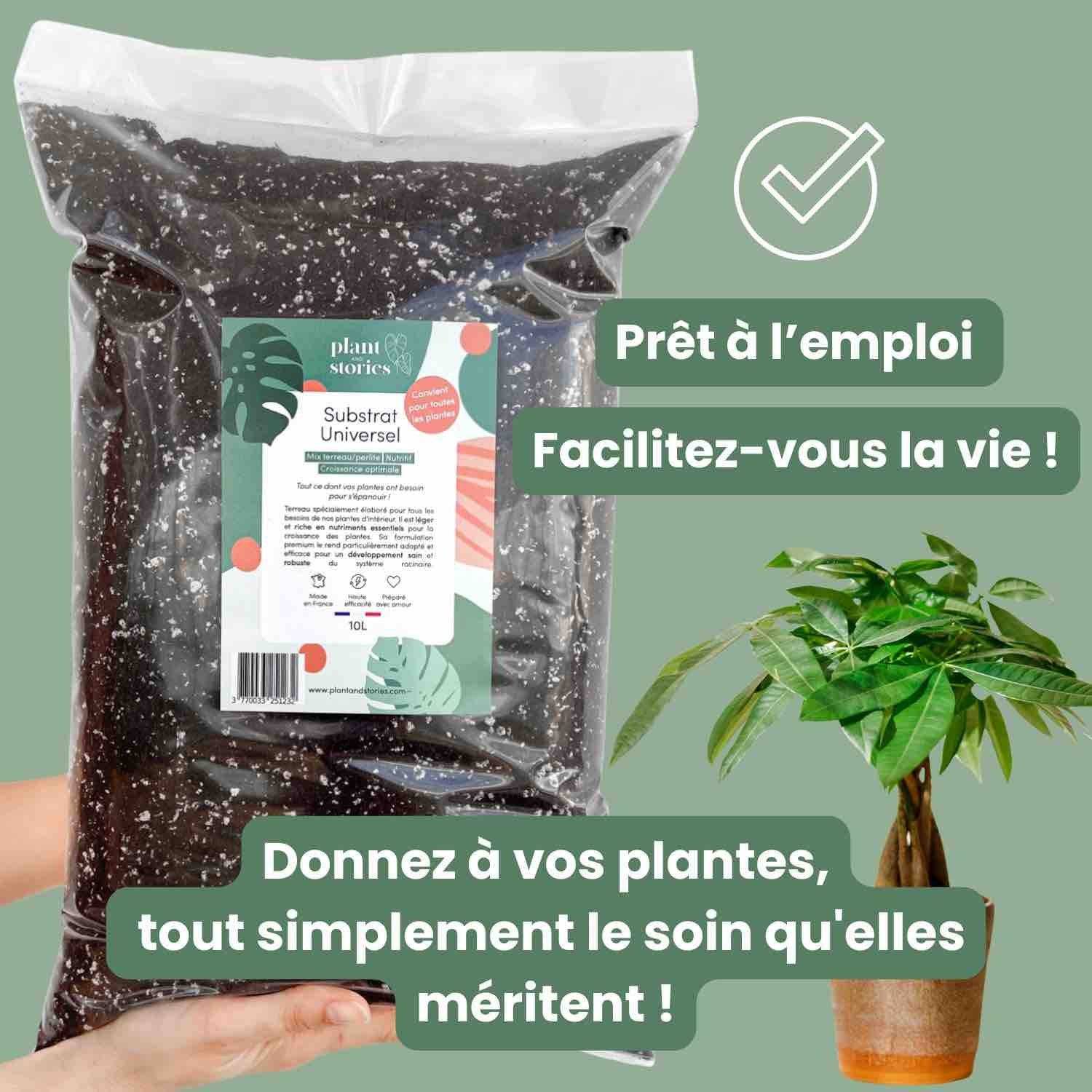 Substrat Universel enrichi en Mycorhize et Bacillus - Qualité Supérieure - Terreau universel - 10L - Image 7