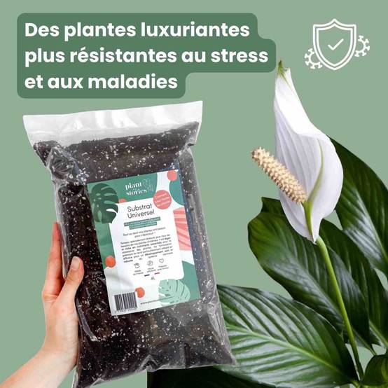 Substrat Universel enrichi en Mycorhize et Bacillus - Qualité Supérieure - Terreau universel - 10L - Image 5