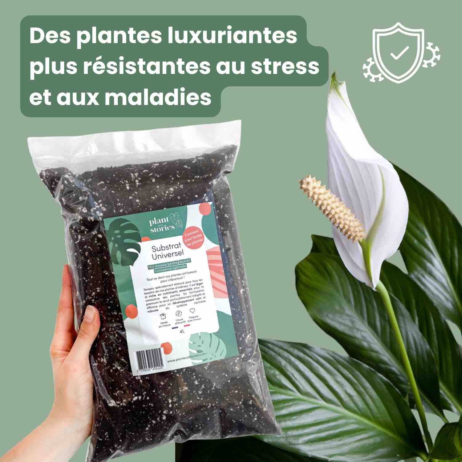 Substrat Universel enrichi en Mycorhize et Bacillus - Qualité Supérieure - Terreau universel - 10L - Image 5