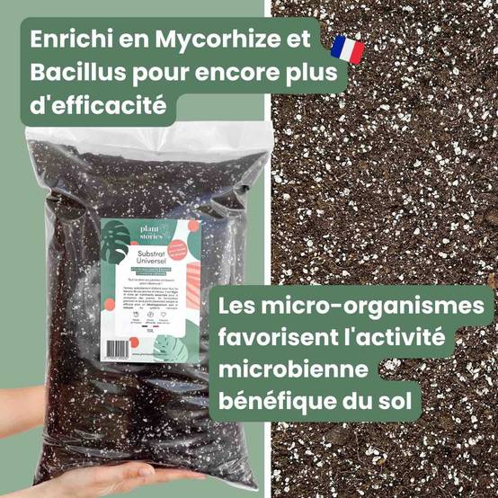Substrat Universel enrichi en Mycorhize et Bacillus - Qualité Supérieure - Terreau universel - 10L - Image 2