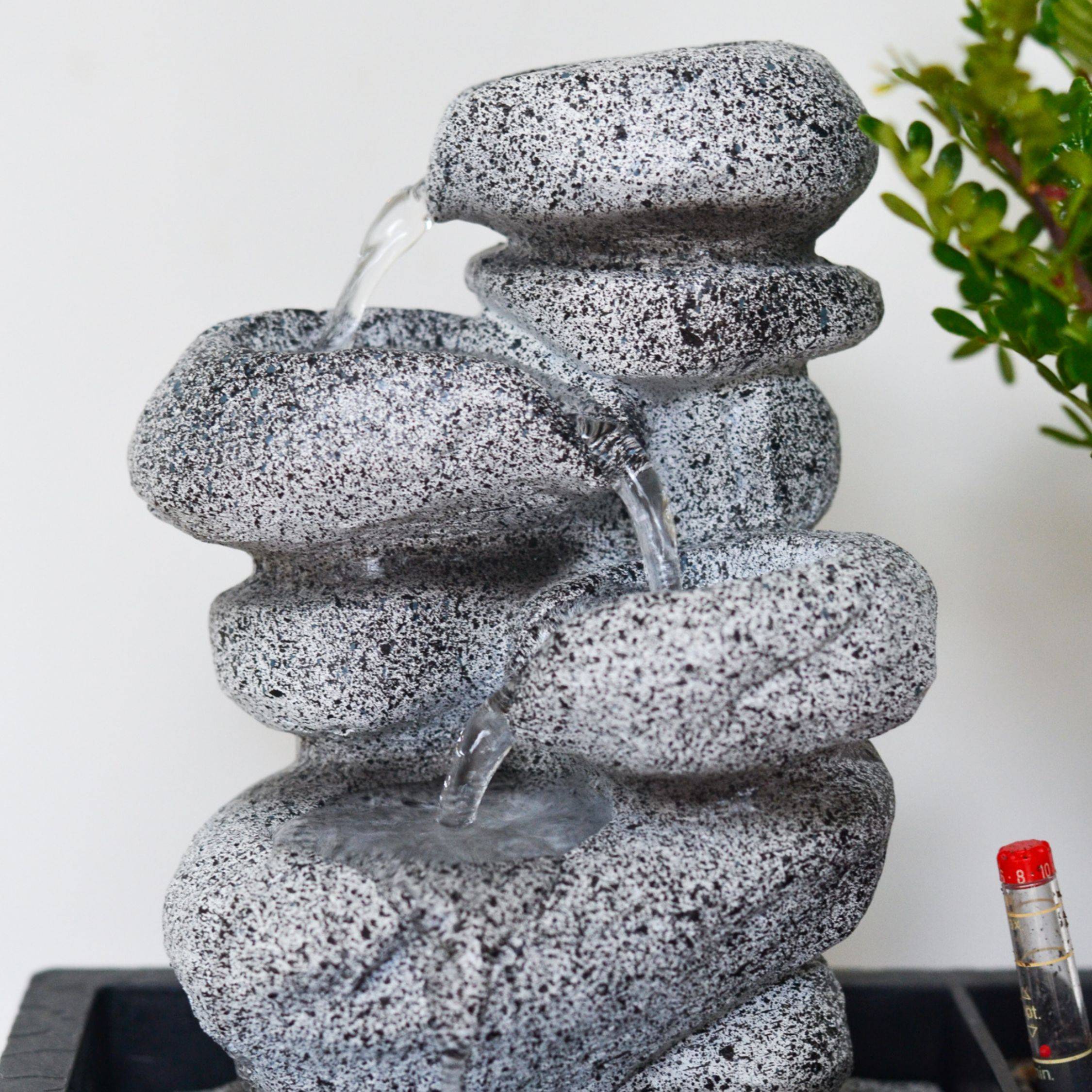 Bonsaï - Bonsai - Hauteur 25-35cm - ⌀29cm - Image 5