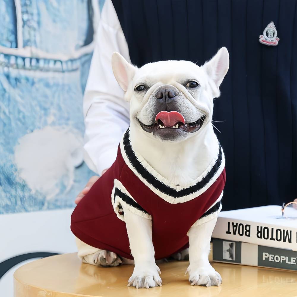 Pull chaud d'hiver pour chien S IntiMeg - Image 6