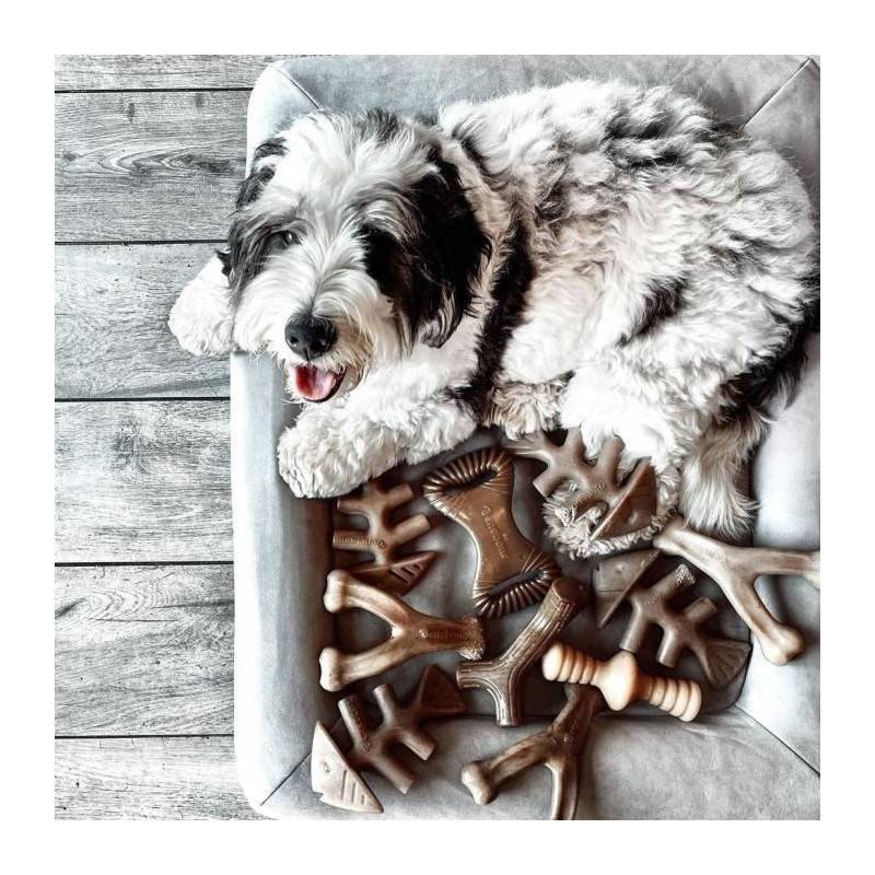 Benebone Jouet Bâton A Mâcher Pour Chien Adulte, Taille S, Saveur Bacon , Durable Et Résistant - Image 4