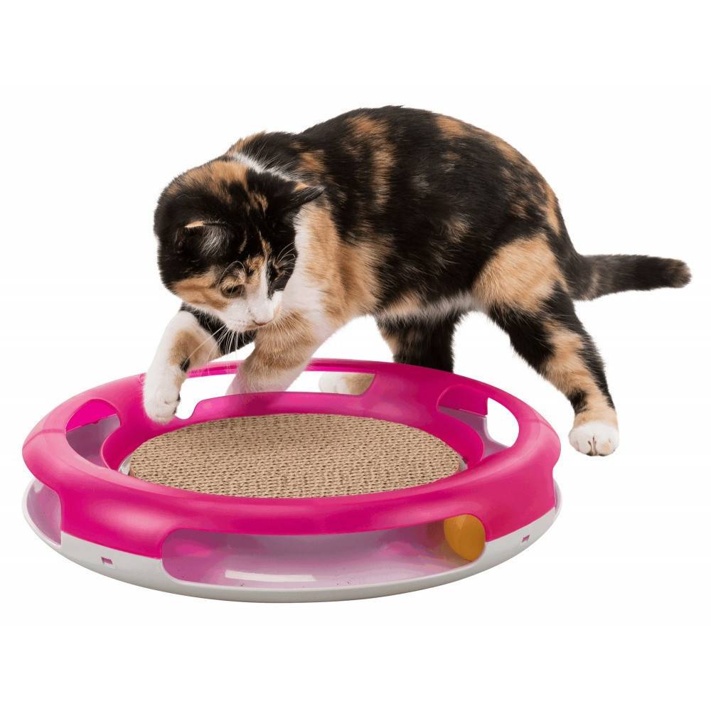 Trixie - Jouet pour chat Race & Scratch ø 37 cm - Image 2