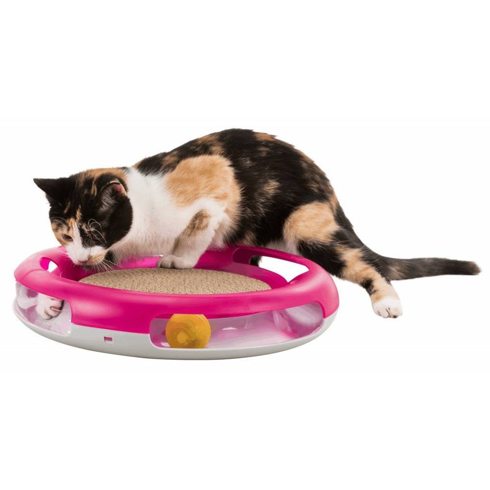 Trixie - Jouet pour chat Race & Scratch ø 37 cm - Image 3