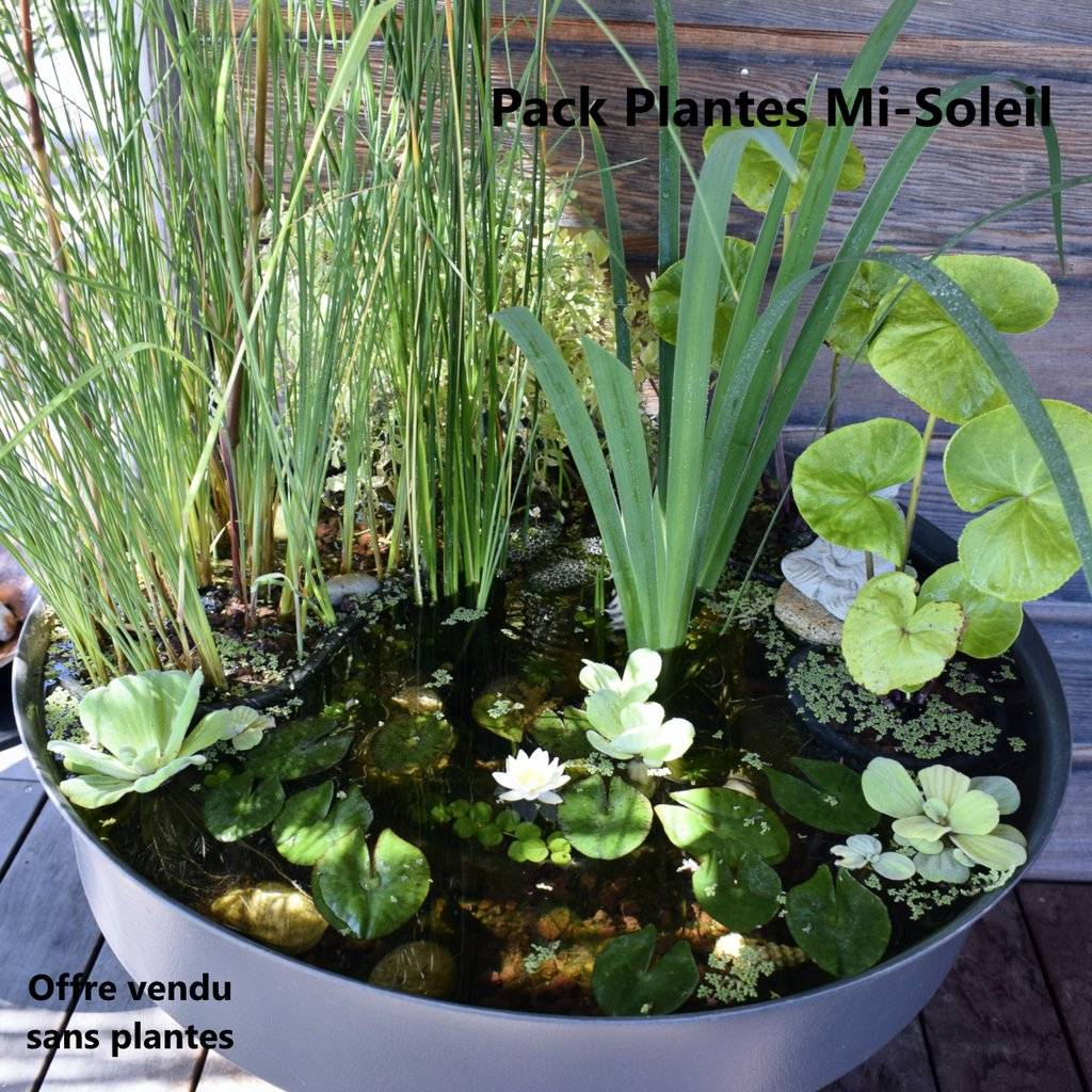 Pack Bassin de Terrasse, 60Litres avec Accessoires + Oxygénateur 220V- sans plantes.Produit Médaillé d'Argent - Image 6