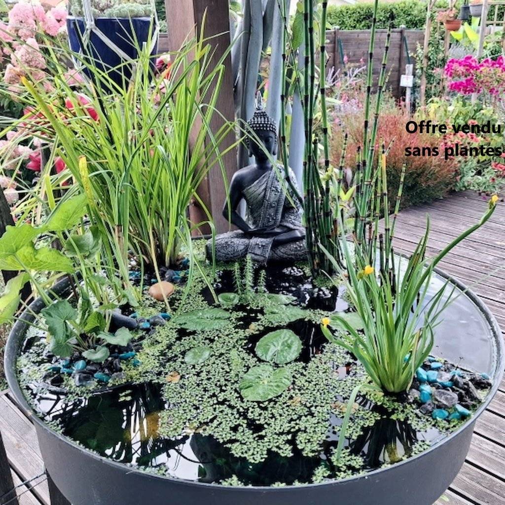 Pack Bassin de Terrasse, 60Litres  avec Accessoires + Oxygénateur 220V- sans plantes.Produit Médaillé d'Argent - Image 9
