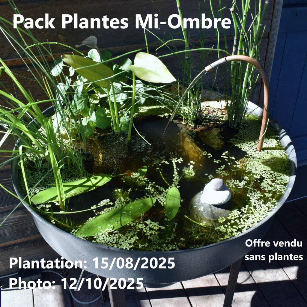 Pack Bassin de Terrasse, 60Litres  avec Accessoires + Oxygénateur 220V- sans plantes.Produit Médaillé d'Argent - Image 8