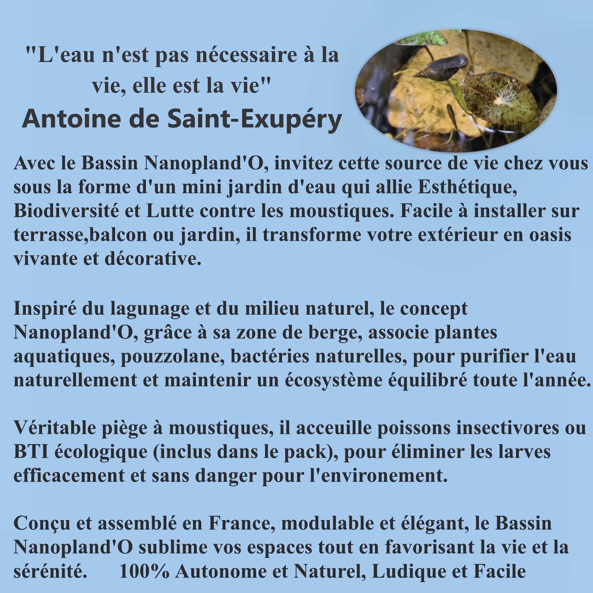 Pack Bassin de Terrasse, 60Litres  avec Accessoires + Oxygénateur 220V- sans plantes.Produit Médaillé d'Argent - Image 10