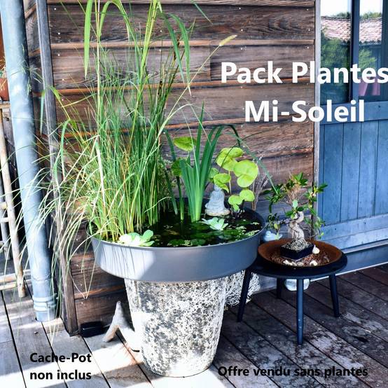 Pack Bassin de Terrasse, 60Litres avec Accessoires + Oxygénateur 220V- sans plantes.Produit Médaillé d'Argent - Image 1